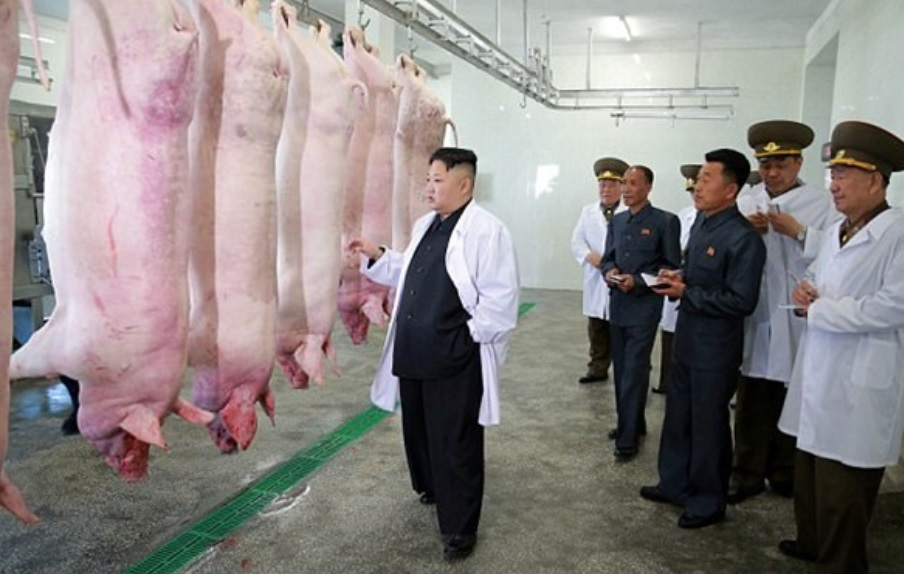 유엔식량농업기구(FAO)는 2일(현지시간) 북한 내 발생한 아프리카돼지열병(ASF)으로 육류생산이 크게 감소할 것으로 전망했다. 김정은 국무위원장이 2017년 4월 조선인민군 항공 및 반항공군 4월22일태천돼지공장을 현지지도한 모습. [헤럴드DB]