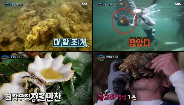 지난 6월 29일에 방송된 태국 남부 꺼묵 섬에서 촬영된 SBS ‘정글의 법칙’에서 멸종위기 보호종인 대왕조개(붉은 원내)를 채취해 시식까지 한 것으로 알려지면서 논란이 일고 있다. [SBS ‘정글의 법칙’영상 캡처]