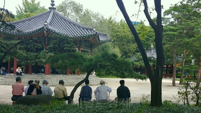 헤럴드경제DB