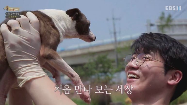설채현.