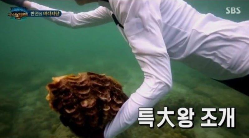 Captured image of the SBS show Laws of the Jungle.
