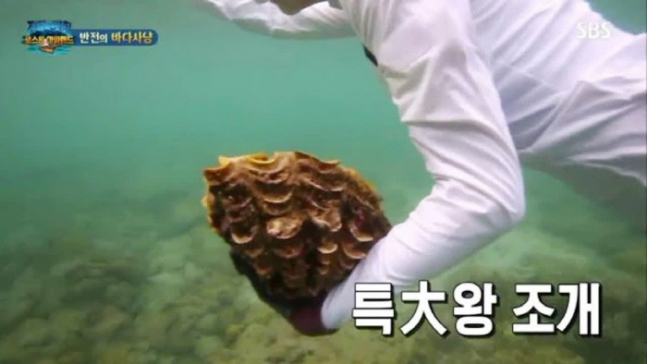 [SBS ‘정글의 법칙’]