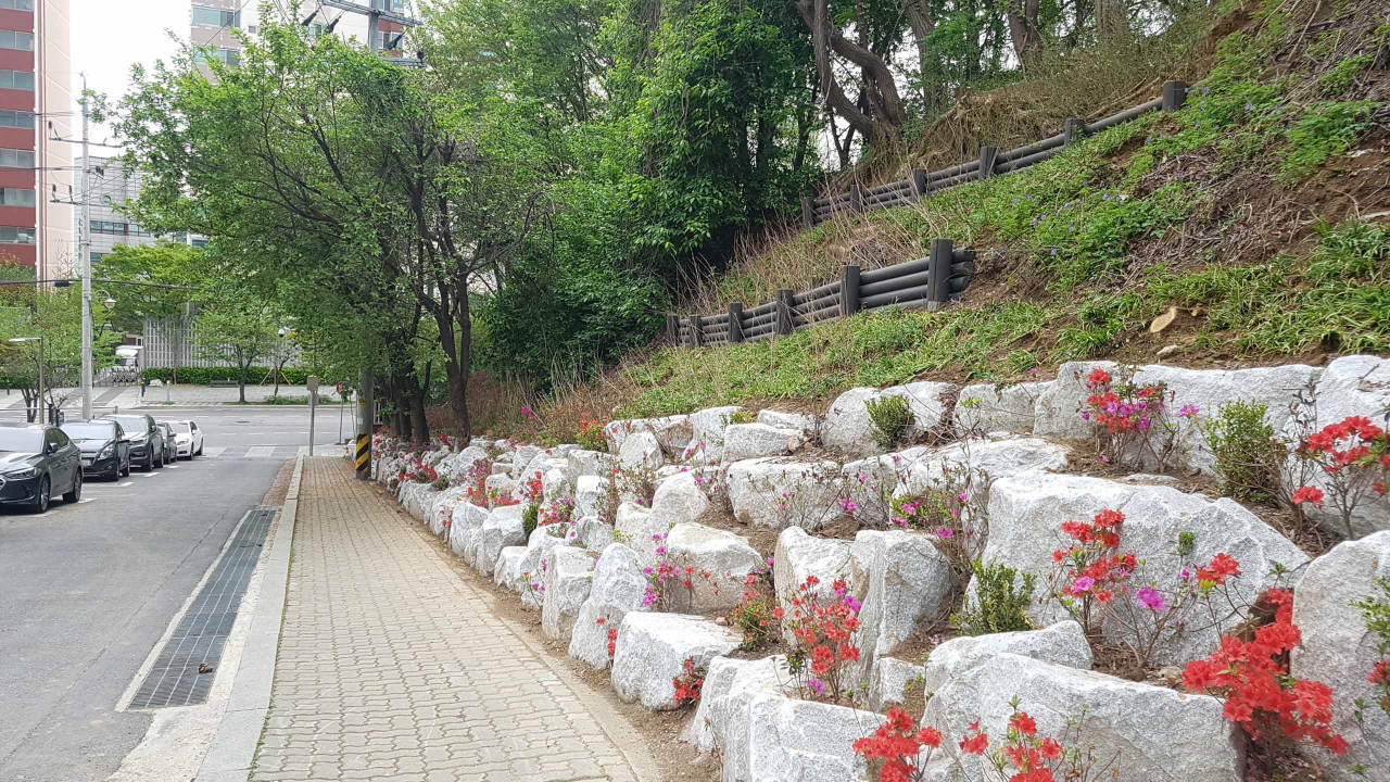 지난 5월 관악구 낙성대동 관악구민운동장 사면 정비 모습. [관악구 제공]