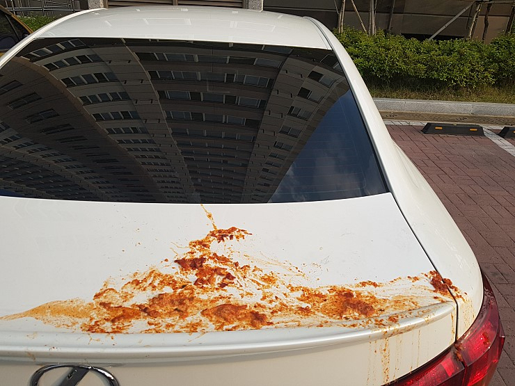 김치 찌꺼기와 국물로 범벅이 된 도요타 렉서스 차량. [네이버 카페 캡처]