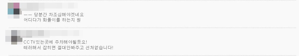 ‘테러 방지 팁’을 공유 중인 일본산 차량 소유주들. [네이버 카페 캡처]