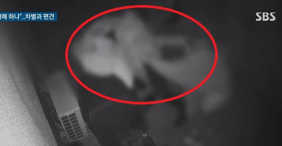 베트남인 여자친구와 함께 있던 남성에게 "성매매냐"라는 모욕적 발언으로 시비를 건 이웃집 남성에 대해 법원이 벌금 100만원을 선고했다. [SBS방송영상캡처]