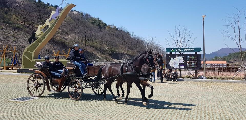　［사진=렛츠런파크］