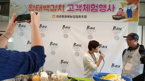 평창 농촌 체험 휴양 프로그램 참가자들이 황태 백김치 만들기 체험을 즐기고 있다. [평창농촌관광협의회 제공]