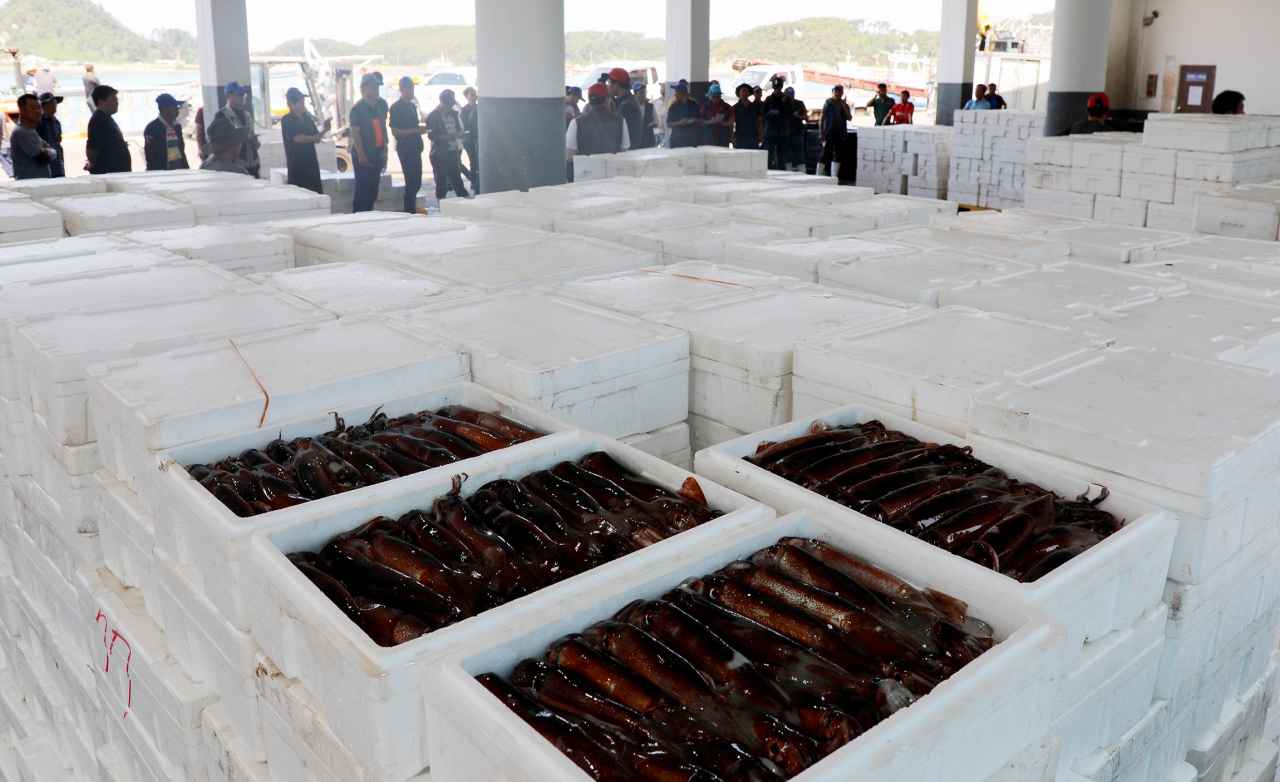 충남 서해에 오징어 어장이 본격 형성된 가운데 8일 태안군 근흥면 서산수협 안흥위판장에서 오징어 경매가 진행되고 있는 모습. 서해산 오징어는 경매 즉시 수도권에서 유통되며, 시중에서 20&sim;25마리가 담긴 한 상자당 3만3000&sim;3만5000원에 거래된다. [연합]