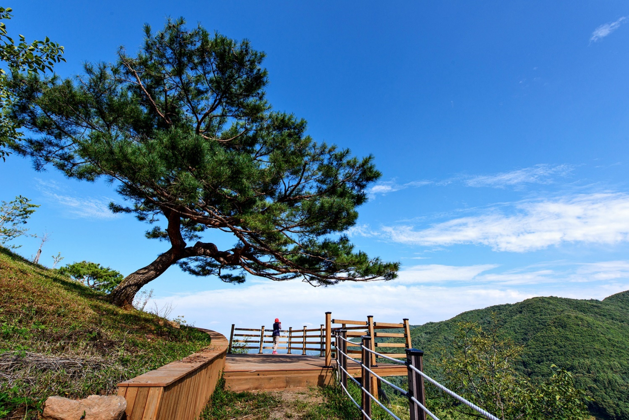 국립산림치유원 주치마을 전망대 전경 [산림청 제공]
