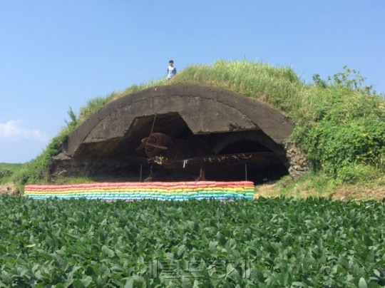 제 1회 제주비엔날레는 '투어리즘'을 주제로 제주도립미술관, 제주현대미술관, 제주시 원도심, 서귀포시 원도심, 그리고 알뜨르 비행장 일대에서 지난 2017년 9월 열렸다. 사진은 알뜨르 비행장 일대에 설치된 작품. [사진=헤럴드DB]