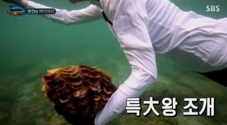 (SBS 제공)