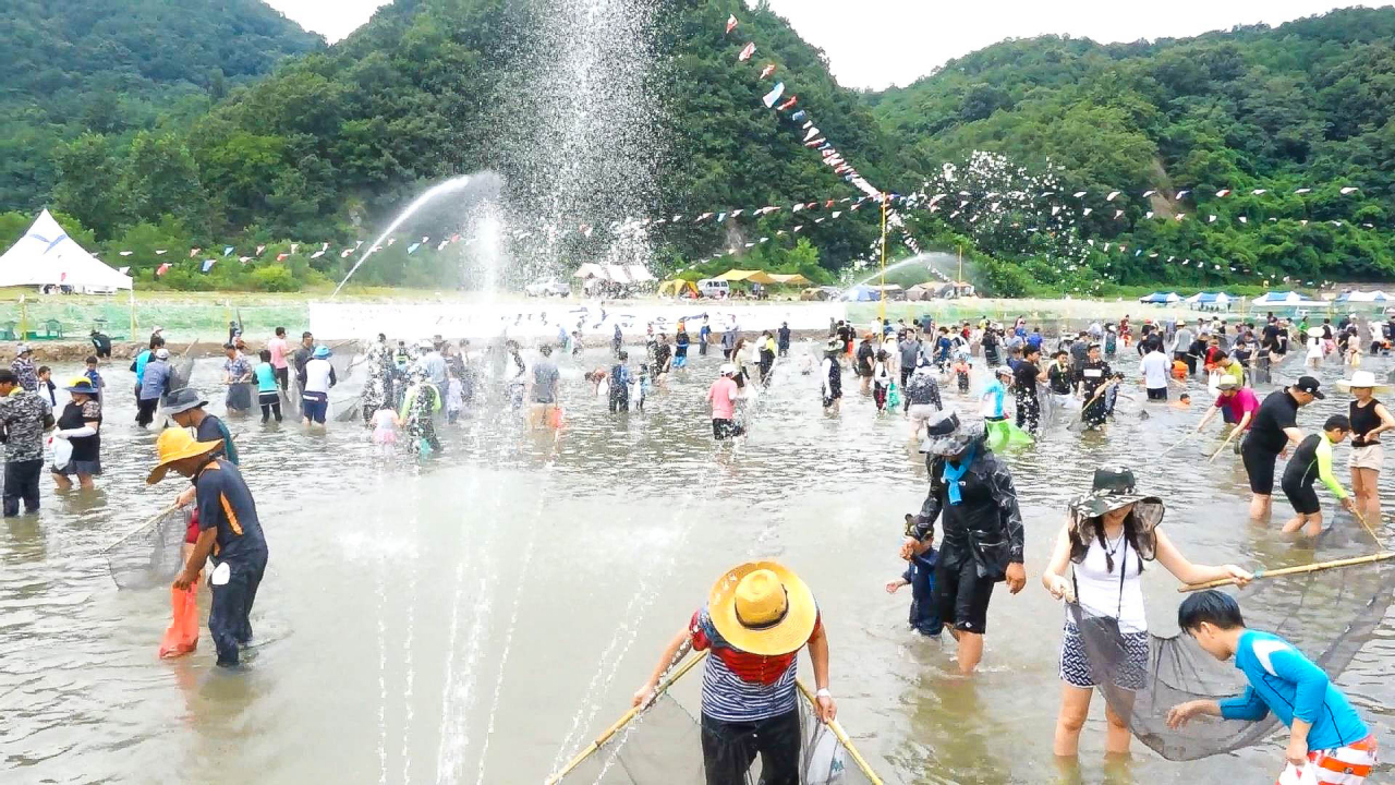 지난해 열린 영덕황금은어축제 모습[영덕군 제공]