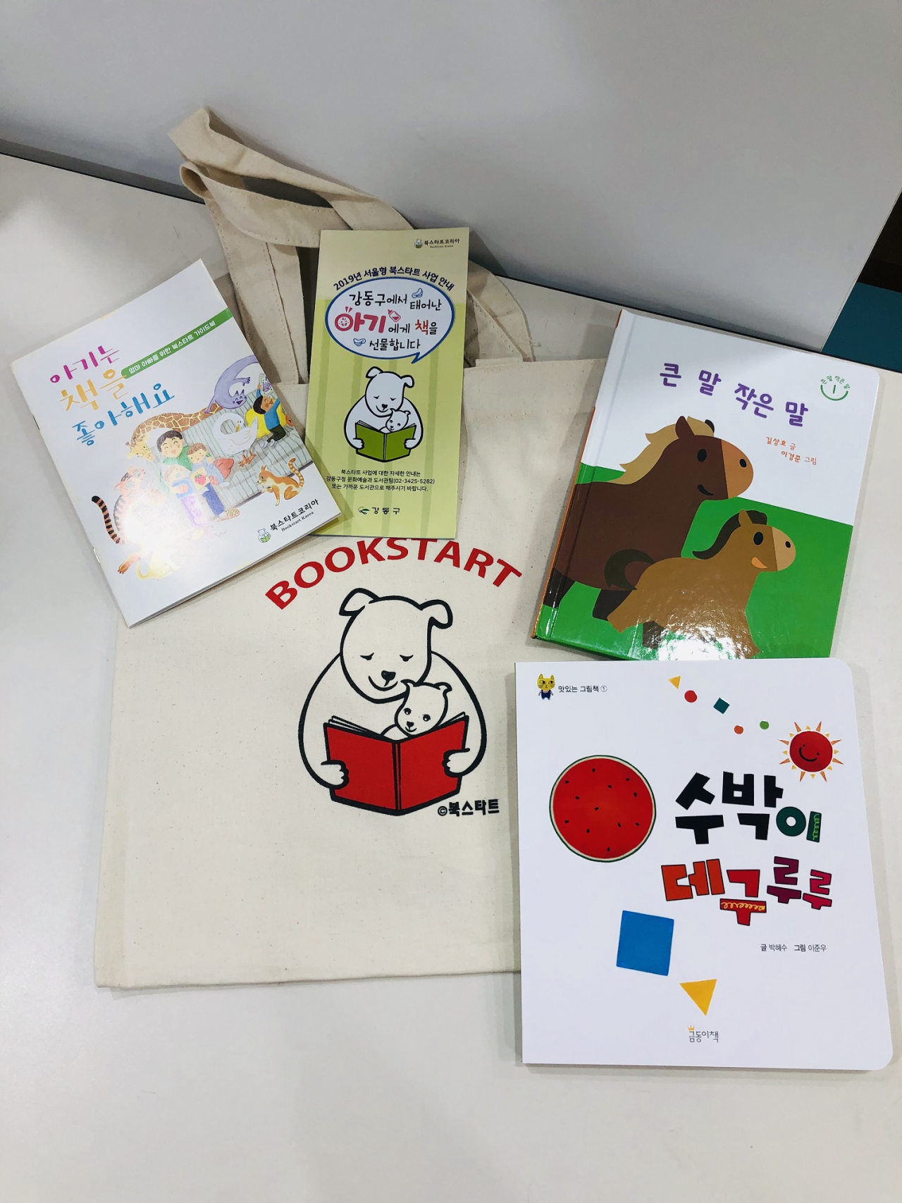 강동구가 아이와 부모가 함께 소통하는 2019년 서울형 북스타트 사업을 추진한다. [강동구 제공]