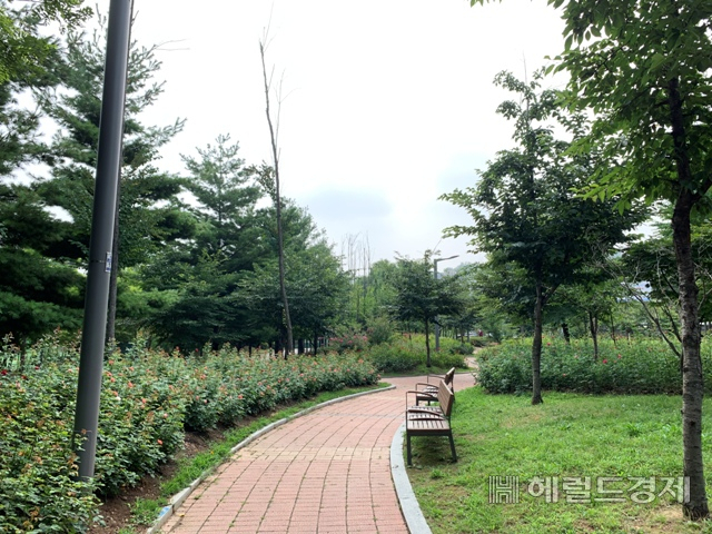 노들나루공원 '장미동산'의 모습