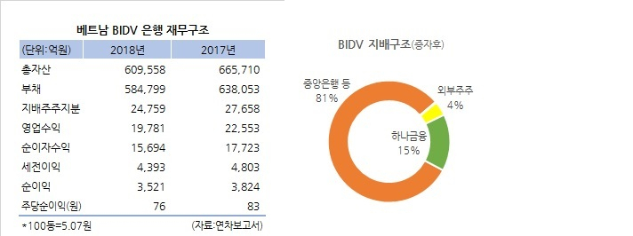 하나금융지주 BIDV 인수