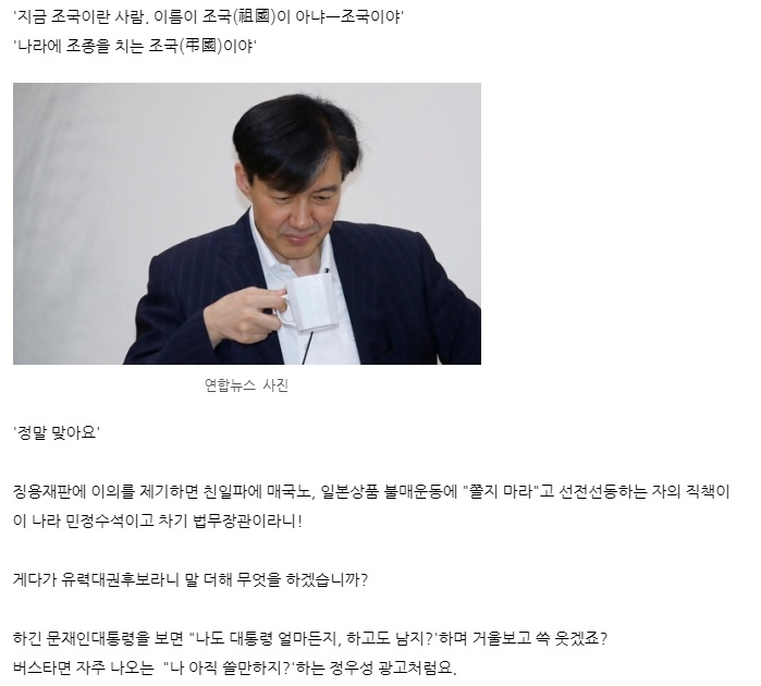 [전여옥 블로그 캡처]