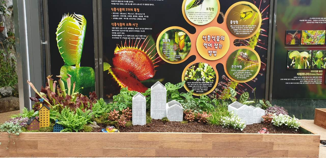 서울대공원 식물원에서 곤충과 작은 동물을 잡아 부족한 양분을 보충하며 살아가는 ‘식충식물 전시회’를 오는 26일부터 진행한다. [서울시 제공]