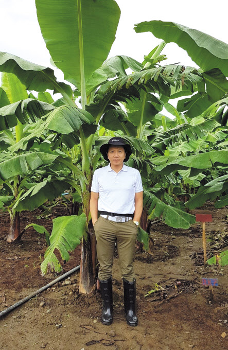 오 대표가 운영하는 필리핀 바나나 농장에서는 다양한 프리미엄급 상품을 개발하기 위해 여러 테스트를 통한 투자가 진행 중이다. [진원무역 제공]