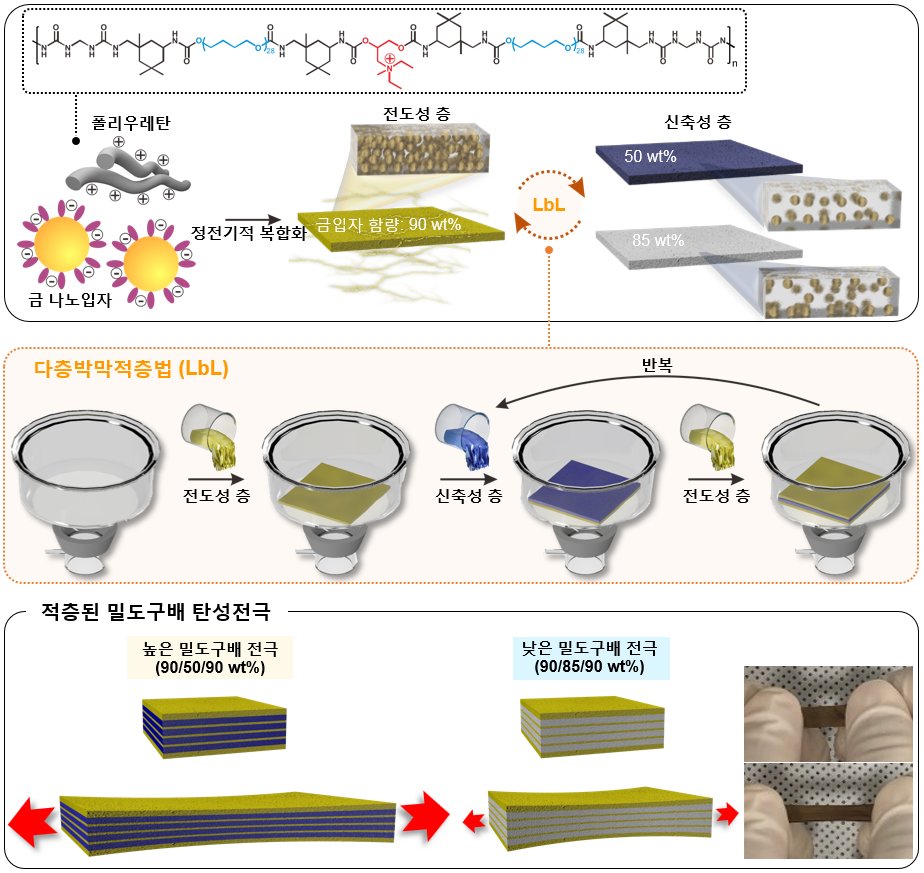 폴리우레탄과 금나노입자를 다양한 조성비로 복합체를 형성시킨 뒤, 전도성 층과 신축성 층을 번갈아가면서 진공 탈수 방식으로 계층 수 조절을 하며 적층시킨 뒤 밀도 구배된 탄성전극을 제조함.[연세대 제공]