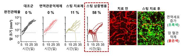그림2 면역항암제 내성암에서 스팅치료제 암혈관신생억제제