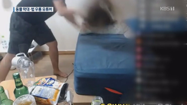 자신의 반려견을 때리고 내던지는 모습을 생방송으로 그대로 내보낸 유튜버가 동물 학대 혐의로 경찰에 고발됐다. [KBS방송영상 캡처]