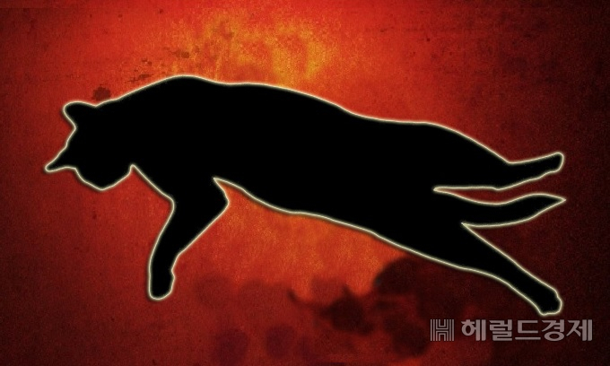 [헤럴드경제 모바일섹션]