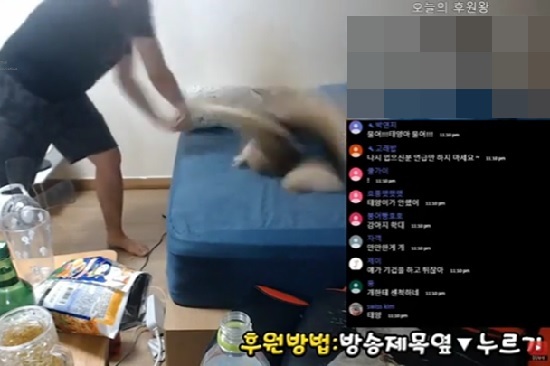 Suh throws his dog on to bed during YouTube livestream (Screen grab of Suh's YouTube)