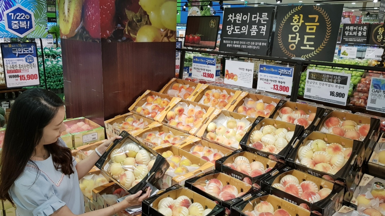 고객이 롯데마트에서 '황금당도 복숭아' 제품을 고르고 있다. [사진제공=롯데마트]