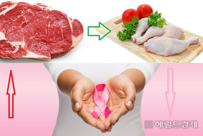 미국 연구팀은 쇠고기 등 적색육에서 백색육 닭고기로 바꾸는 것만으로도 유방암 위험이 낮아질 수 있다는 연구결과를 발표해 눈길을 끌고 있다. [헤럴드경제 모바일섹션]