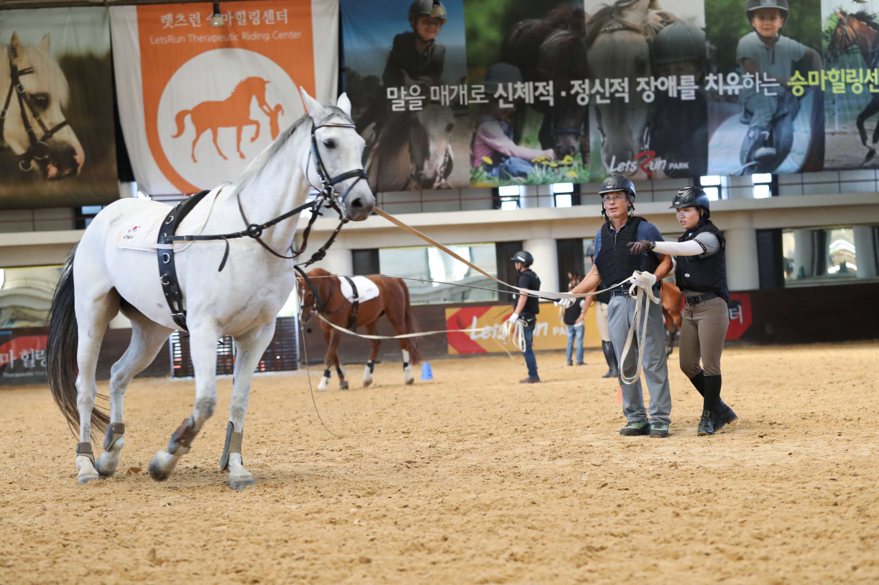말 조련사 자료사진 [렛츠런파크 제공]