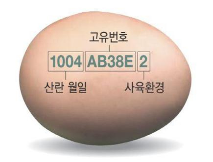 달걀 껍데기 산란일자 표시제가 오는 23일부터 본격 시행된다.[경북도 제공]