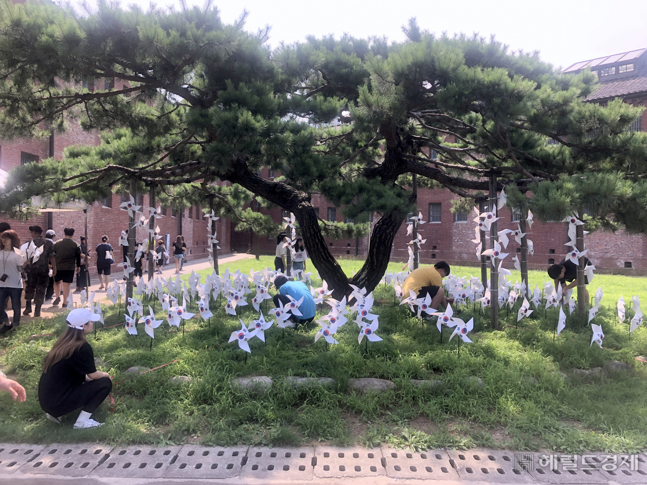 최근 서대문형무소역사관에 서대문구가 조성한 ‘태극기 바람개비 작은 동산’ [서대문구]