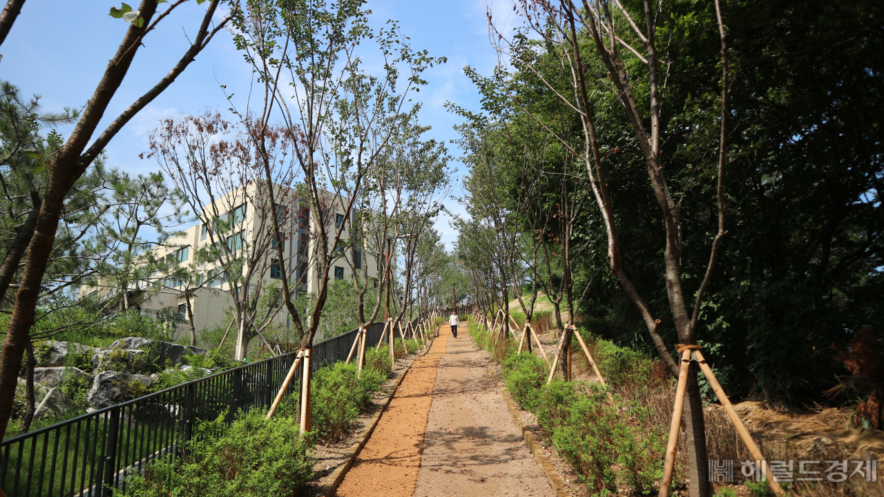 효사정 공원 산책로. [동작구 제공]