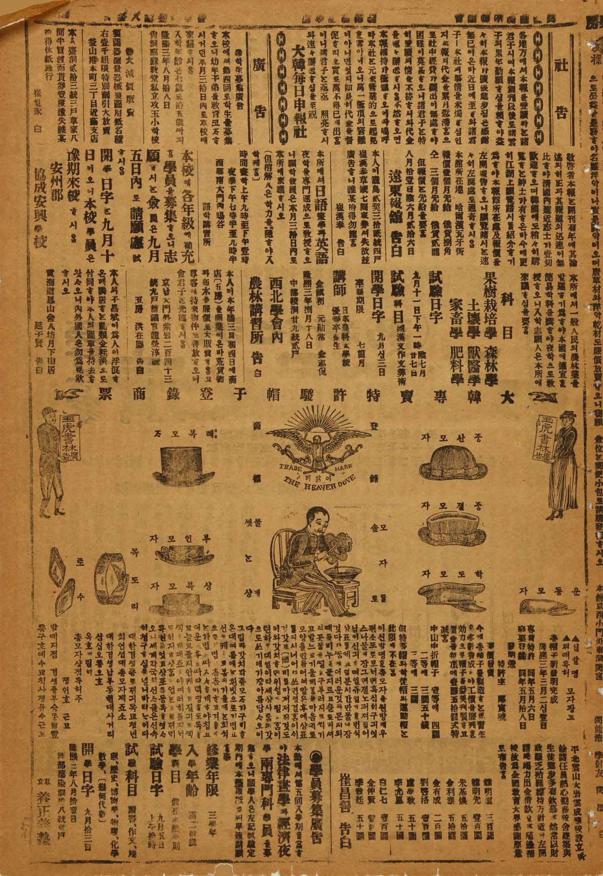 대한민국 최초 특허 1호인 말총모자 광고(대한매일신보 1909년 8월 24일자)
