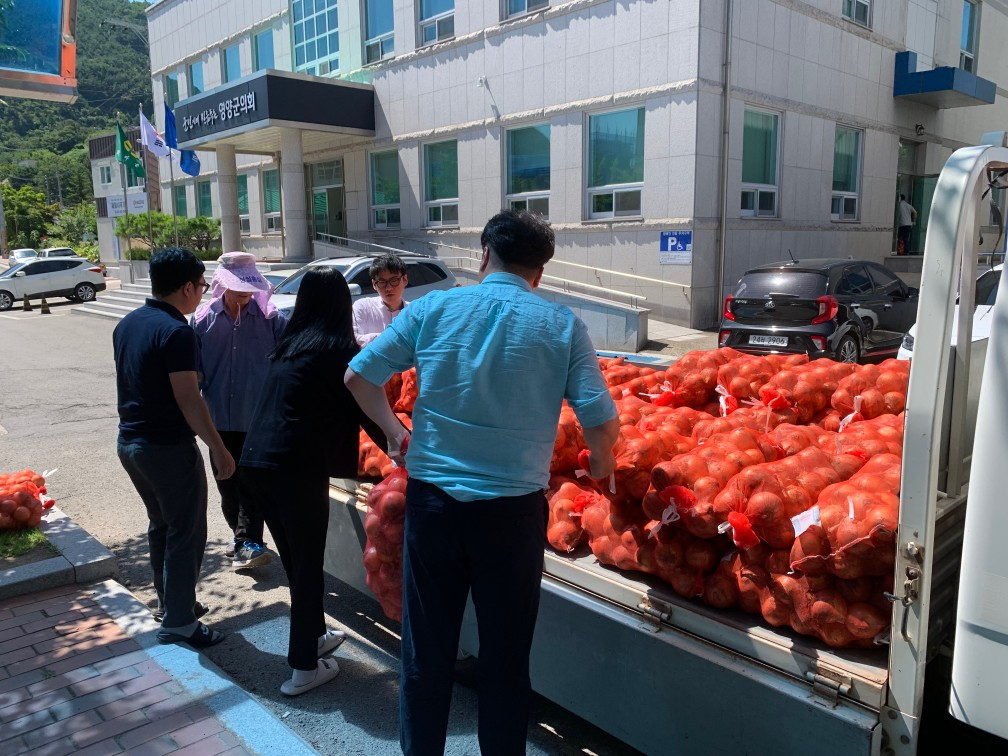 영양군이 양파 팔아주기 행사에 나서고 있다.[영양군 제공]