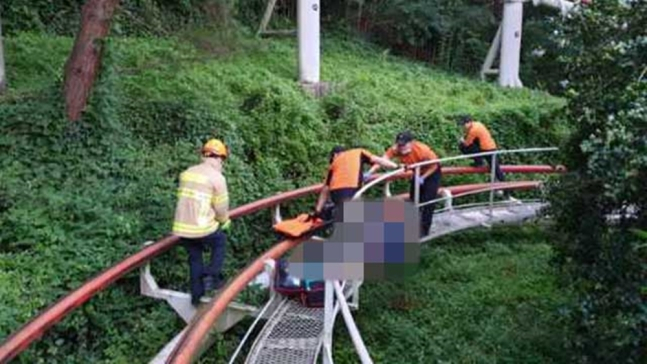 [대구소방안전본부 제공]