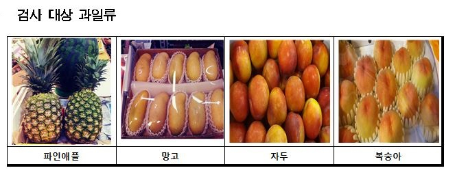 서울시는 국내산 14종 49건, 수입산 11종 31건 등 총 80건을 수거해 ‘농약 잔류량’을 검사한 결과, 모두 ‘적합’으로 나왔다고 밝혔다. 사진은 검사대상 과일류. [서울시 제공]