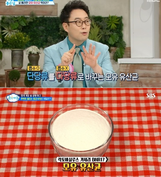 모유유산균이 뚱보균을 잡아줘 다이어트에 효과가 있으며 아이들에게 먹일 경우 면역력 향상에도 도움을 준다는 연구 결과가 전해져 화제다. [SBS 방송 캡처]