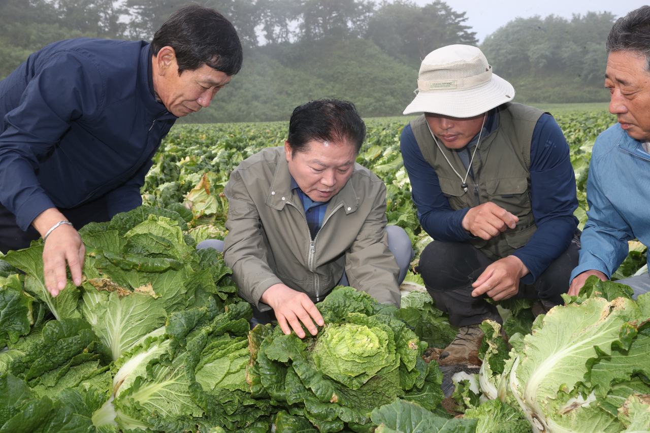 추석명절이 채 한달도 남지 않았지만 여전히 폭염이 지속되고 있는 가운데 김병원(왼쪽 두번째) 농협중앙회장이 20일 강원 평창 대관령을 찾아 무, 배추 작황과 수급상황을 점검하고 있다. ［농협 제공］