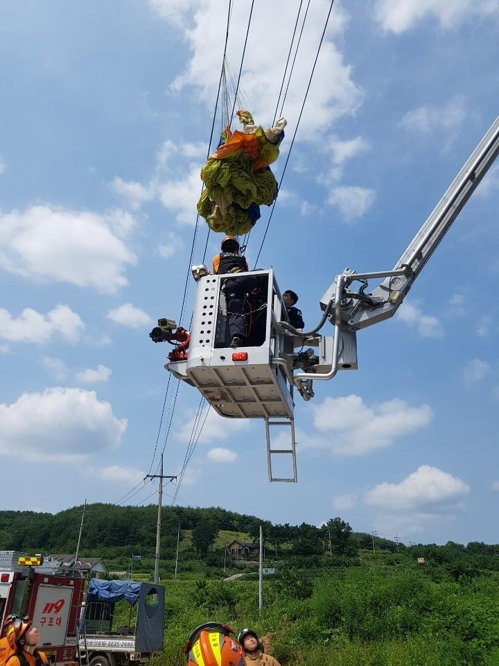 119구조대가 사다리차를 이용해 패러글라이더 조종사 등을 구조하고 있는 모습. [충북소방본부 제공]