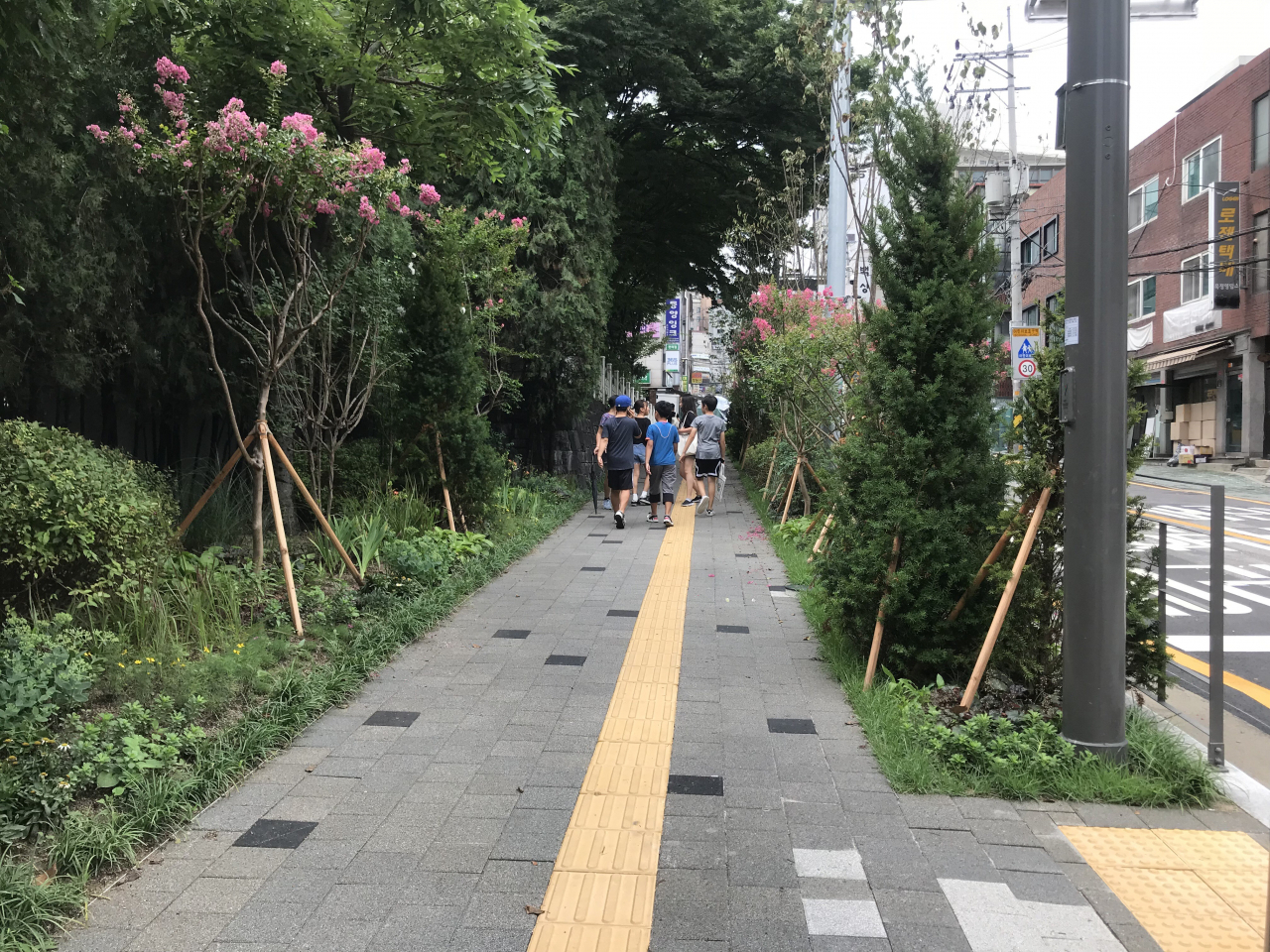 최근 조성된 충무초등학교 초록 안심 통학로. [중구 제공]