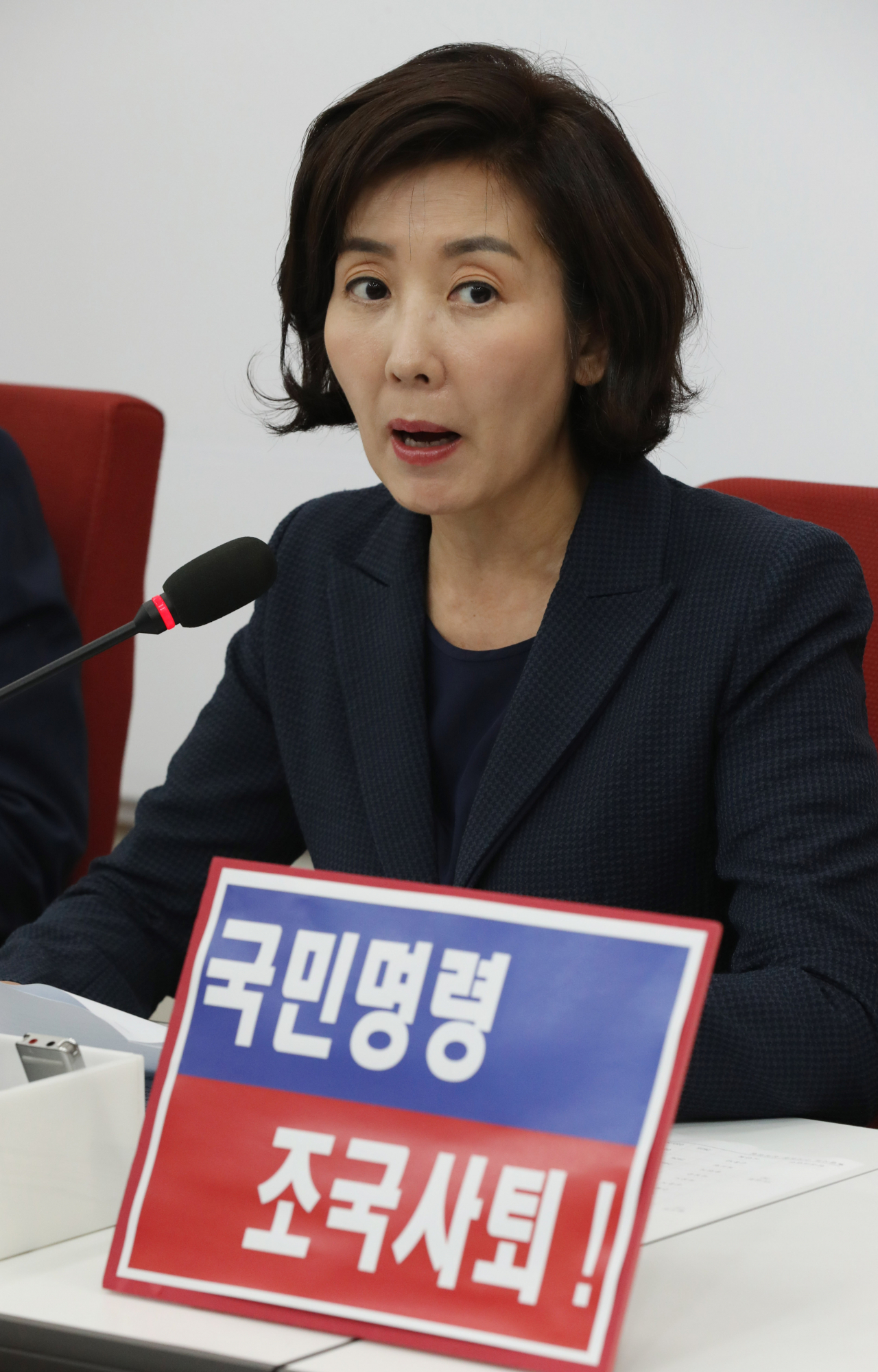자유한국당 나경원 원내대표가 25일 오후 국회 원내대표실에서 열린 조국 인사청문회 대책TF회의에서 발언하고 있다. [사진=연합뉴스]