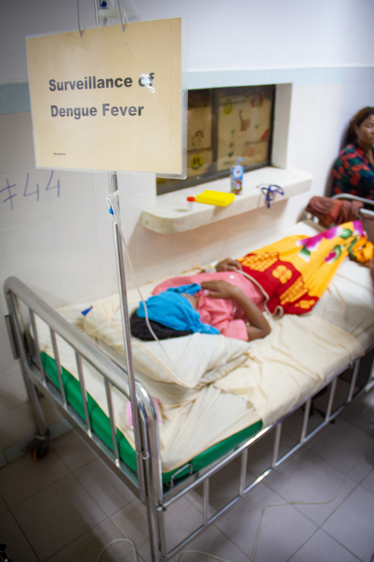 (AHC Dengue Image)