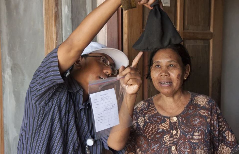 A staff member shows a resident in Yogyakarta some of the different mosquito species caught in a mosquito monitoring trap. (World Mosquito Program)