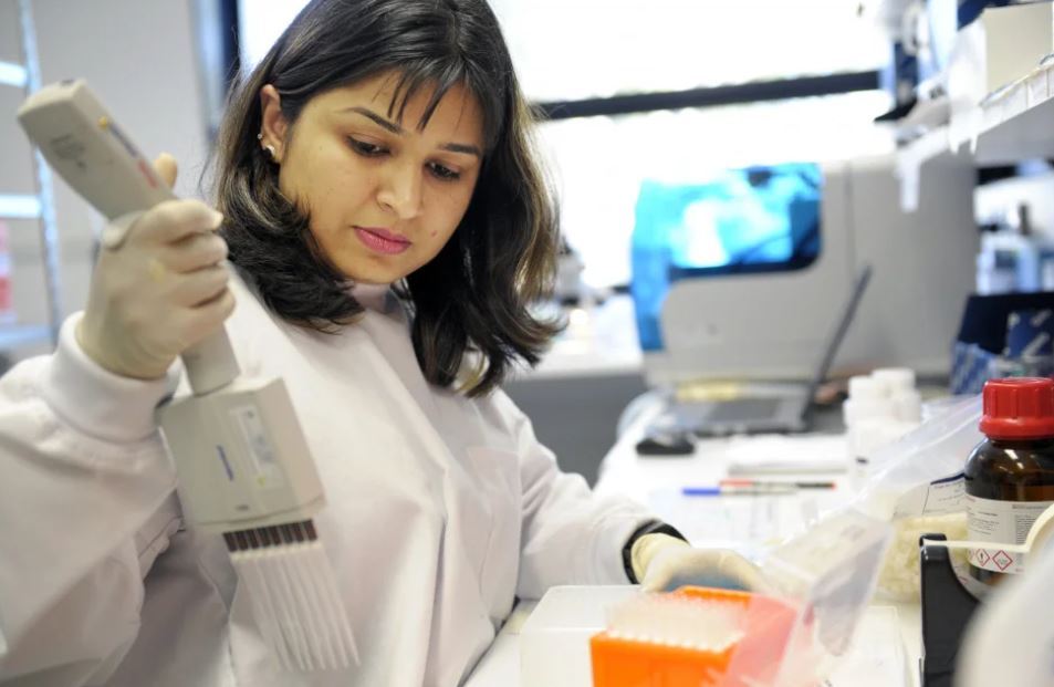 A World Mosquito Program team member examines mosquitoes from the field to see if they carry Wolbachia. (World Mosquito Program)