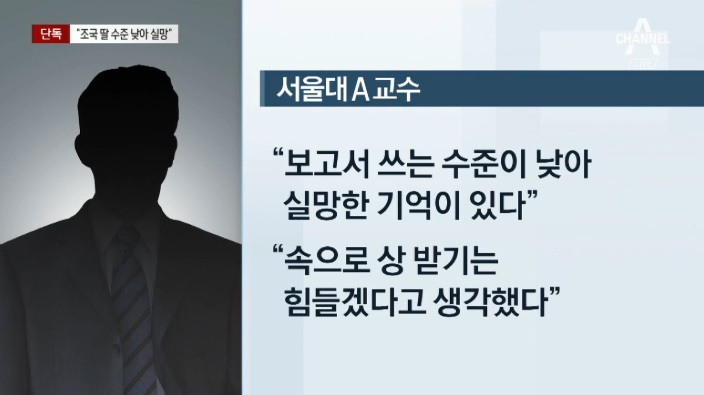채널A 보도화면 갈무리