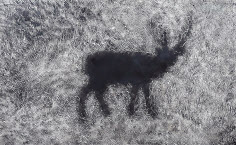 권순왕, 지속가능한 태양, 2018, Woodcut, 먹물, 탁본, Pig oil, 50 × 80 cm
[금산갤러리 제공]
