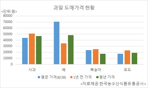과일 도매가격 현황