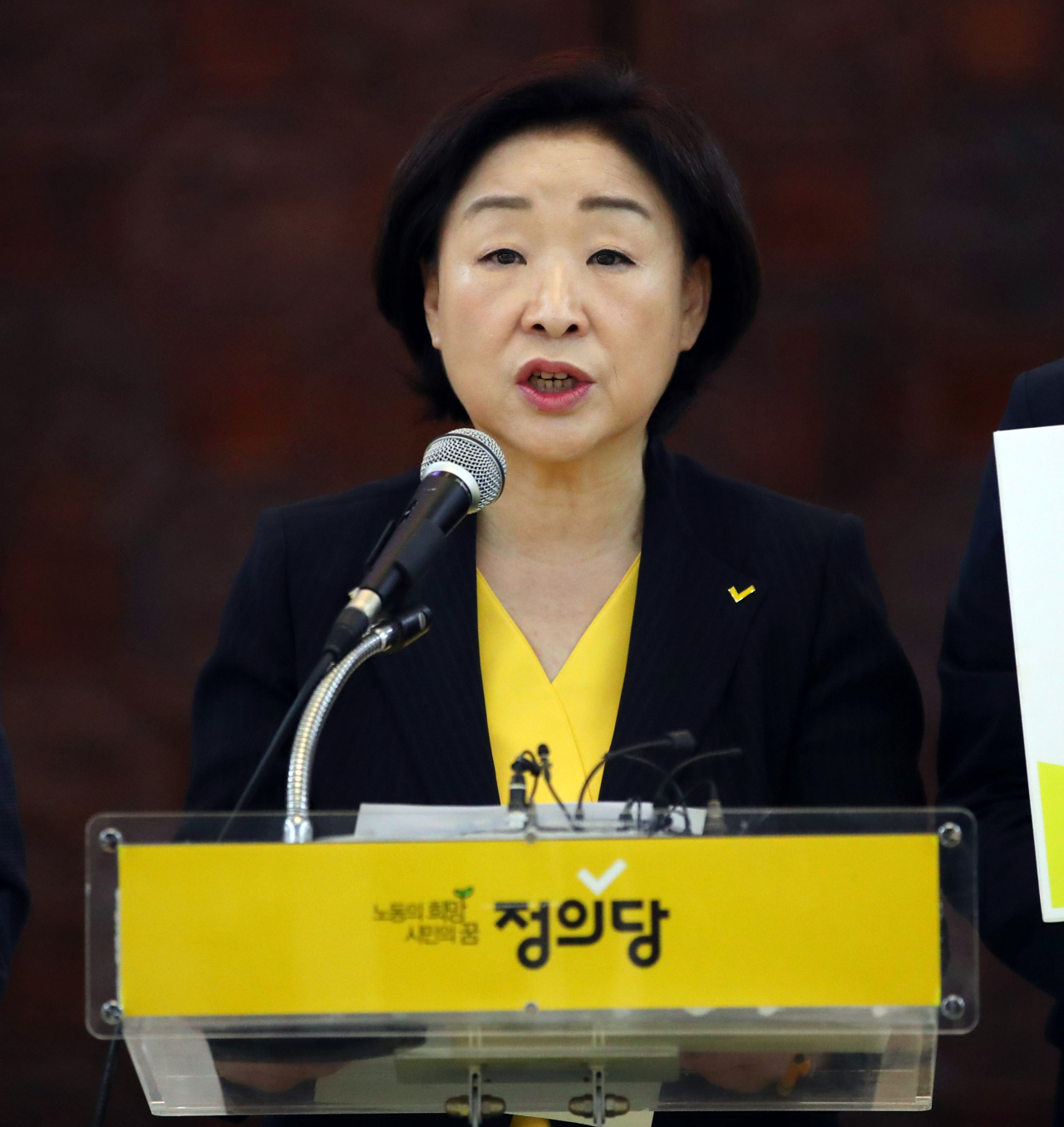 정의당 심상정 대표가 29일 여의도 국회 로텐더홀에서 열린 상무위원회에서 발언을 하고 있는 모습. [연합]